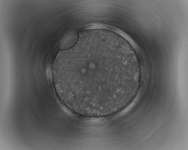 X0000115130857200911241444