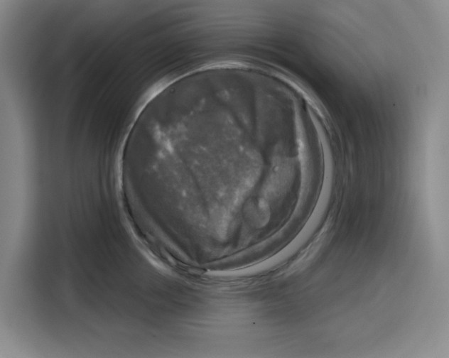 X0000115130858200911241444