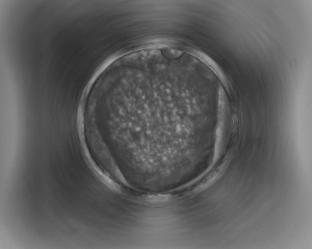 X0000115130859200911241444