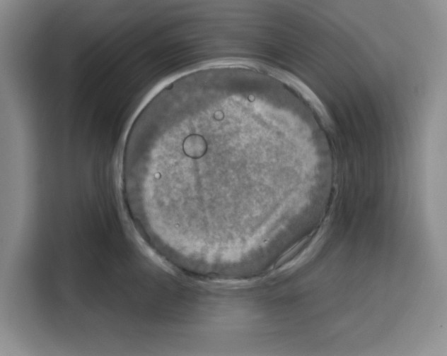 X0000115130860200911241444