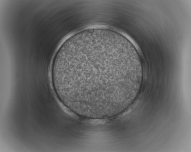 X0000115130861200911241444