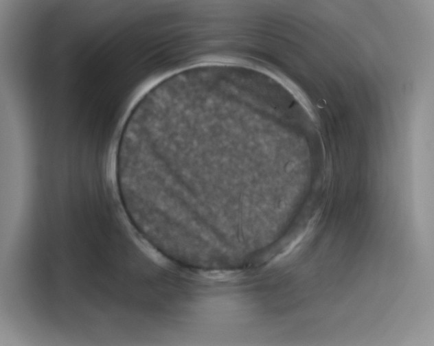 X0000115130862200911241444