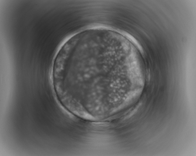 X0000115130863200911241444