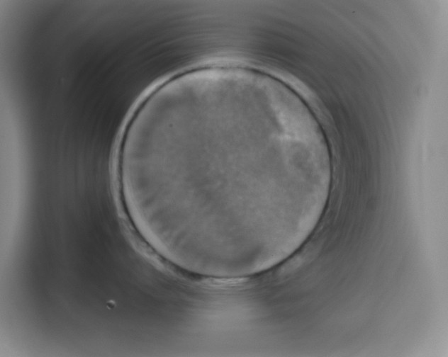 X0000115130864200911241444
