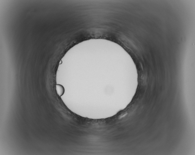 X0000115130865200911241444