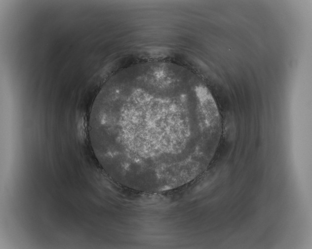 X0000115130866200911241444