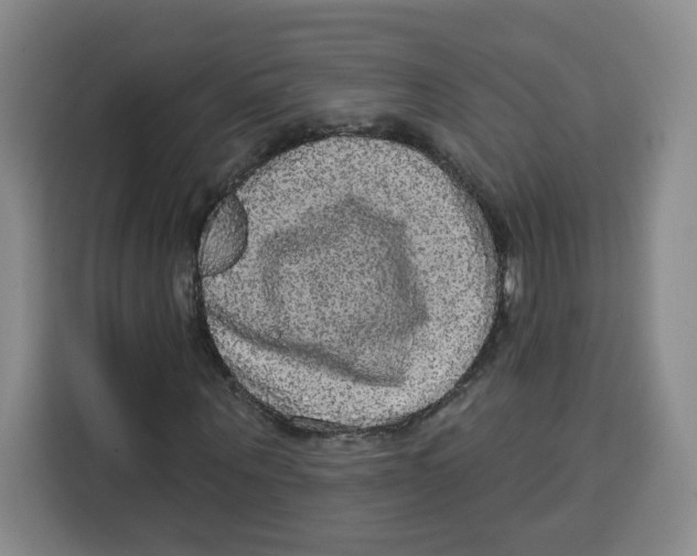 X0000115130867200911241444