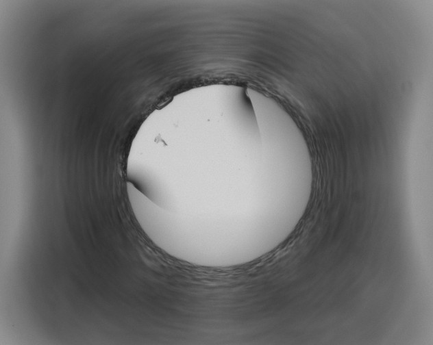X0000115130868200911241444