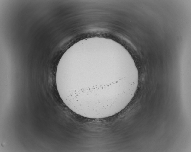 X0000115130869200911241444