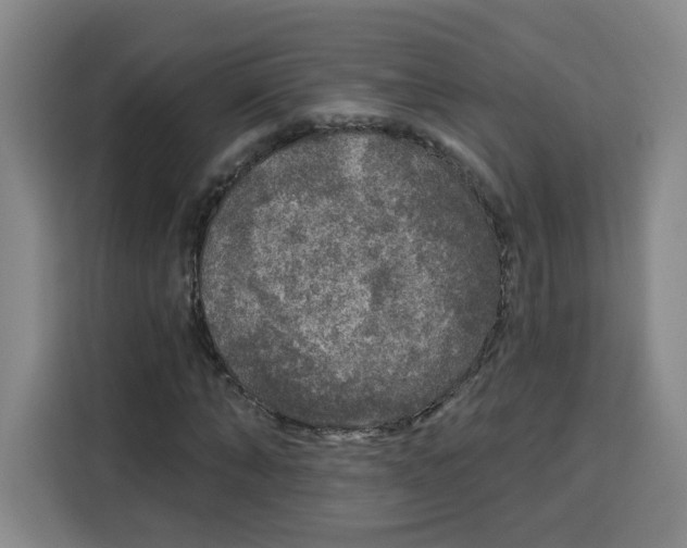 X0000115130870200911241444