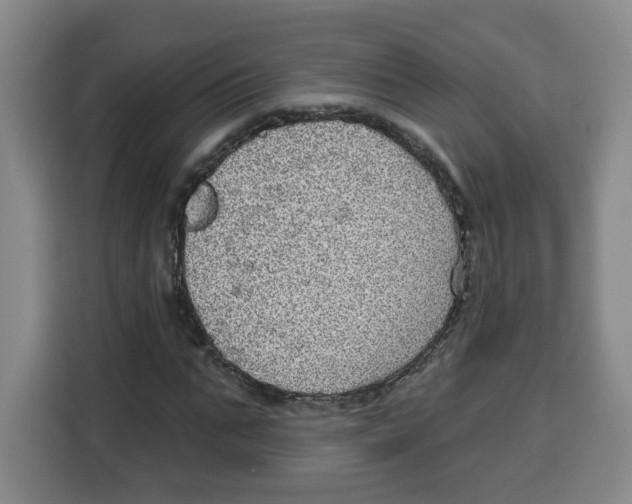 X0000115130871200911241444
