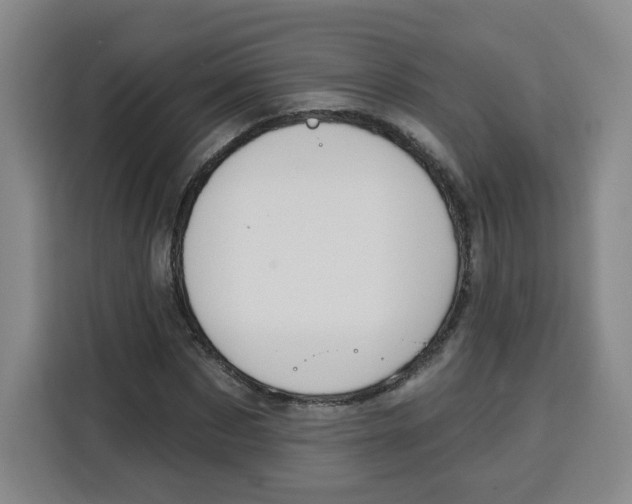 X0000115130873200911241444