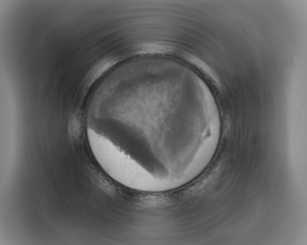 X0000115130874200911241444