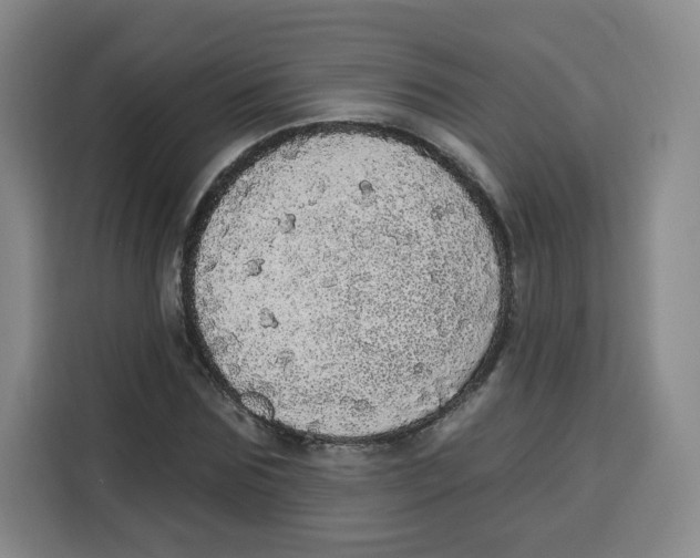 X0000115130875200911241443