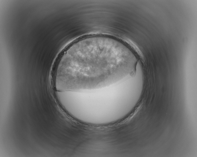 X0000115130876200911241443