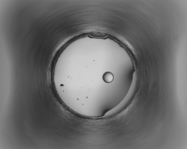 X0000115130877200911241443
