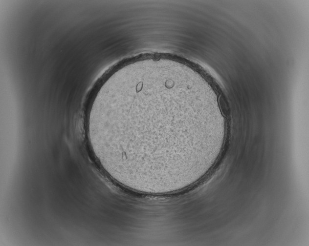 X0000115130878200911241443