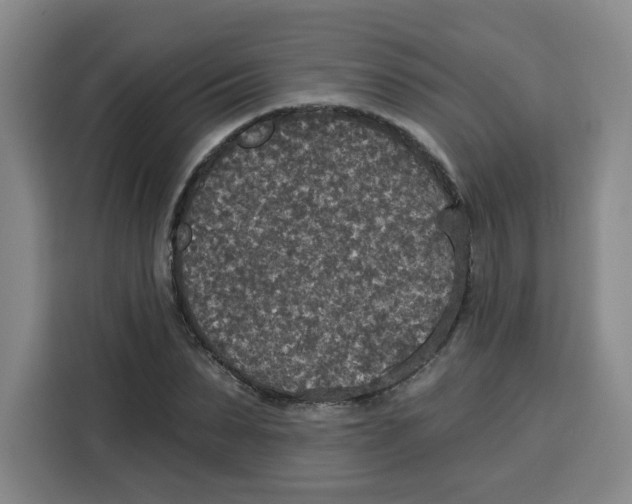 X0000115130879200911241443