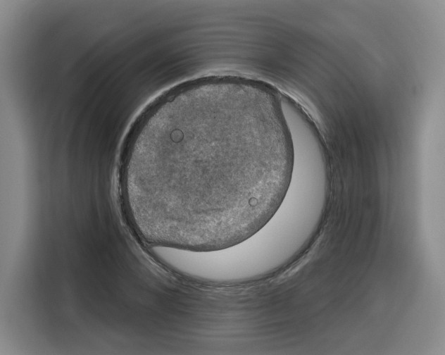 X0000115130880200911241443