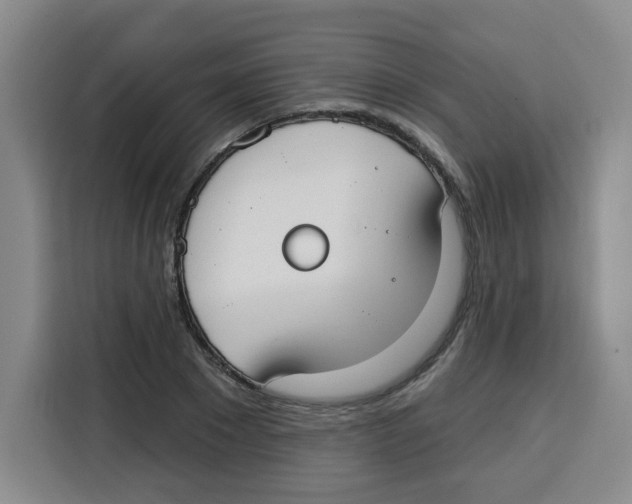 X0000115130881200911241443
