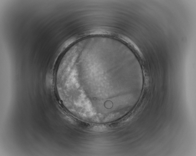 X0000115130882200911241443