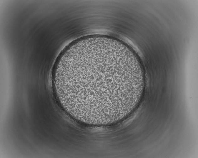 X0000115130883200911241443