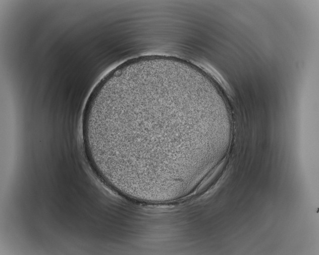 X0000115130884200911241443