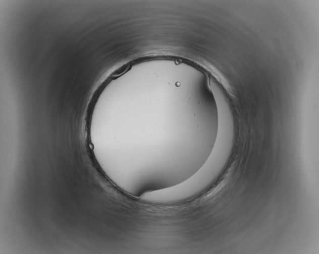 X0000115130885200911241443
