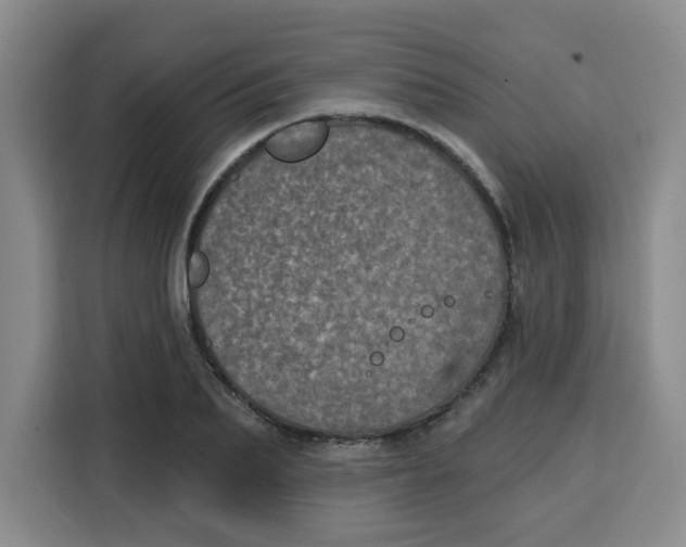 X0000115130887200911241443