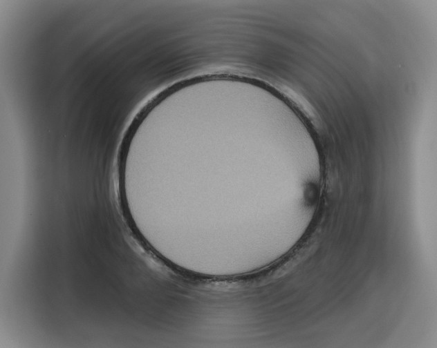 X0000115130888200911241443
