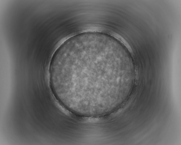 X0000115130890200911241443
