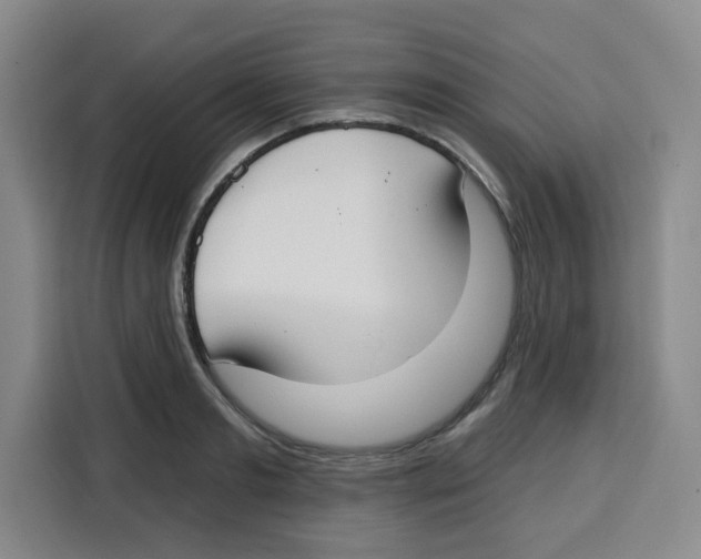 X0000115130893200911241443