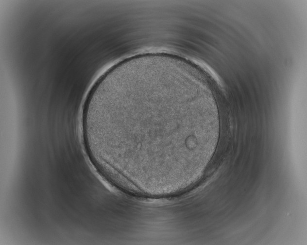 X0000115130894200911241443