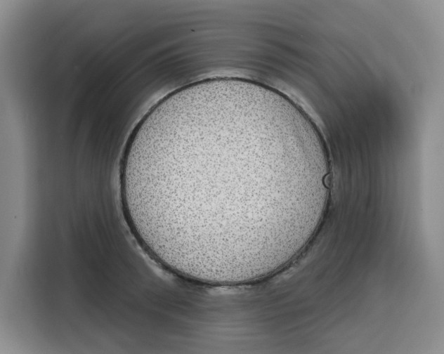 X0000115130898200911241443
