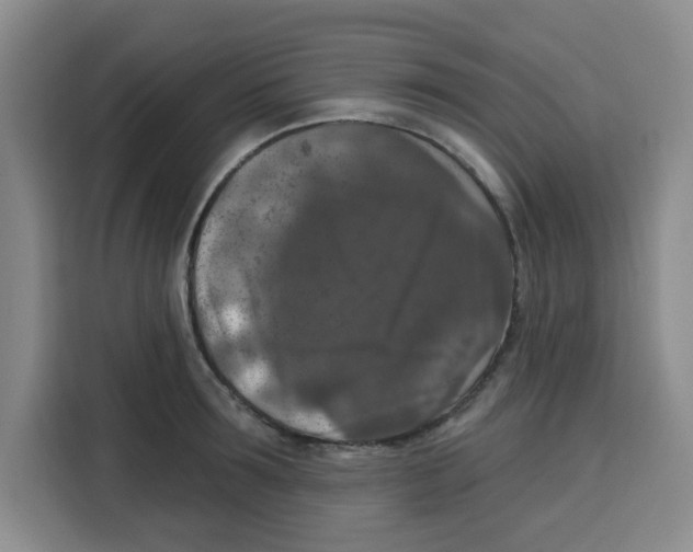 X0000115130899200911241443