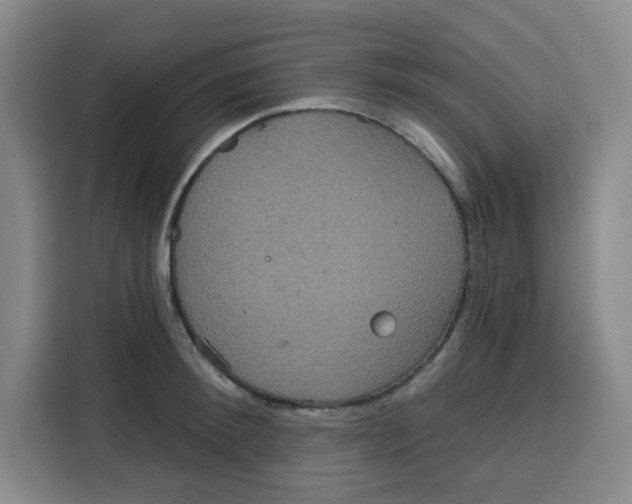 X0000115130900200911241443
