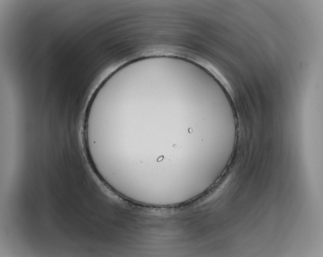 X0000115130901200911241443