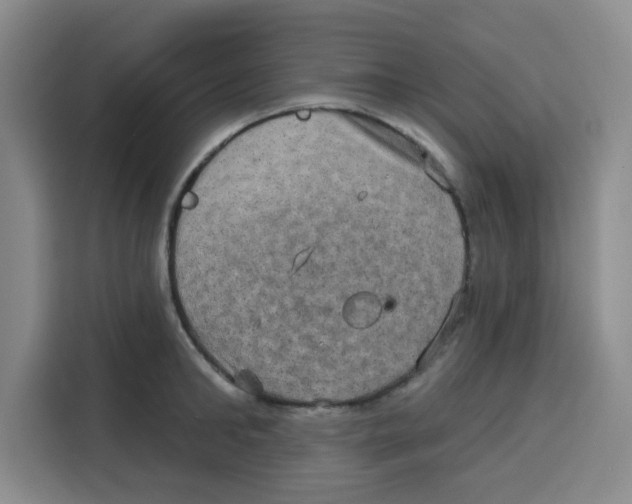 X0000115130902200911241443