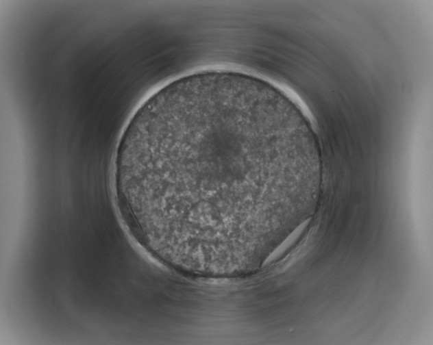 X0000115130903200911241443