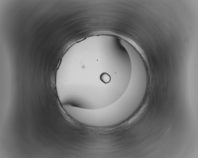 X0000115130905200911241443