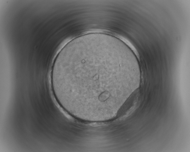X0000115130906200911241443