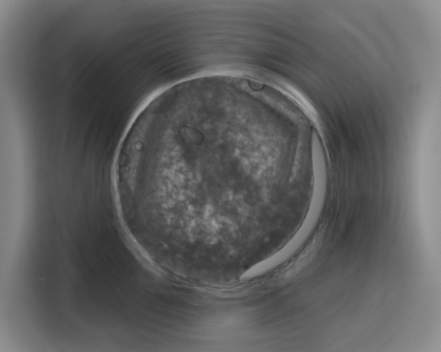 X0000115130907200911241443
