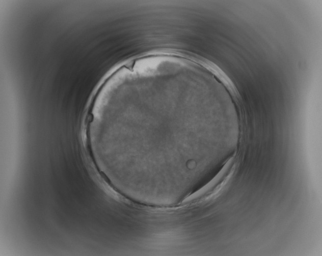 X0000115130908200911241443