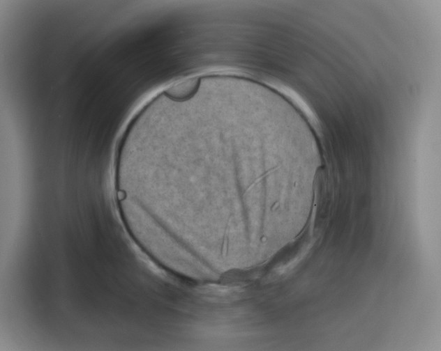 X0000115130910200911241443