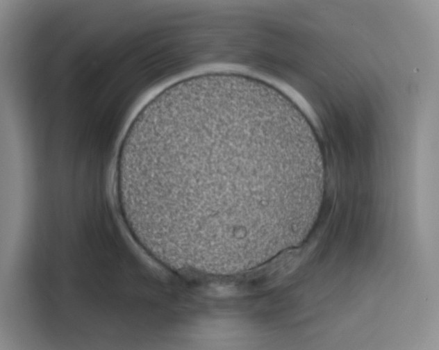 X0000115130911200911241443
