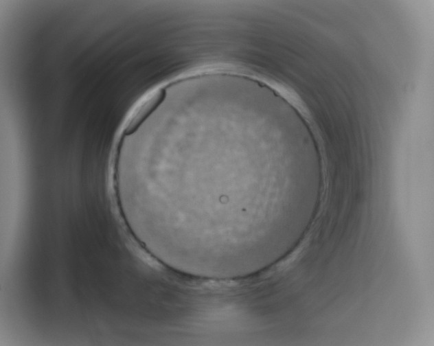 X0000115130912200911241443
