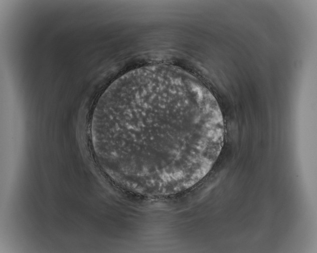 X0000115130913200911241442