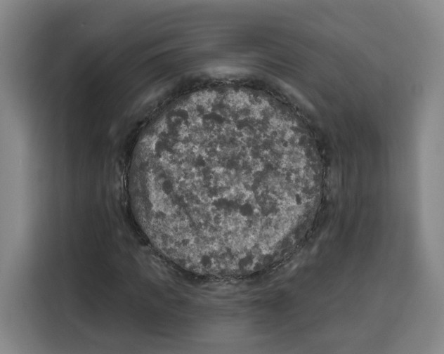 X0000115130917200911241442
