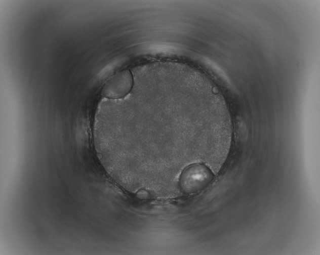 X0000115130918200911241442