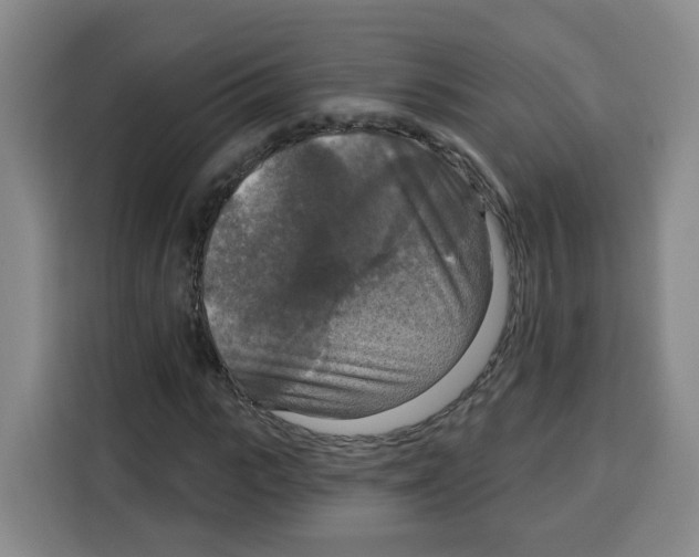 X0000115130919200911241442